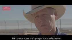 Wild horses behind bars Instructional Video