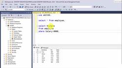 SQL Server Course for Beginners with 100+ examples - WHERE Clause in SQL Instructional Video