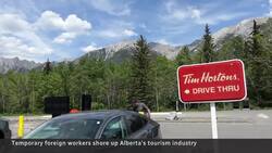 Labour shortage fuelling huge increase in temporary foreign workers News Clip