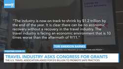 U.S. Travel Industry Asks Congress for Billions in Federal Grants News Clip