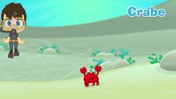 Aquatic Animals in French for Kids - الحيوانات للأطفال - حيوانات البحر باللغة الفرنسية للاطفال Instructional Video