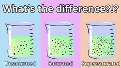 The 3 Different Types of Solutions EXPLAINED! Instructional Video