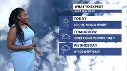 Bright, sunny skies and windy conditions in The Bronx News Clip