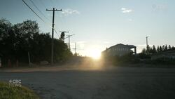 Spread of rice worms devastating for northern Sask. harvesters News Clip