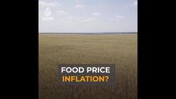 The Black Sea grain deal is off so what happens now? News Clip