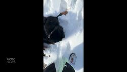 #TheMoment a dying dog was given one last day in the snow News Clip