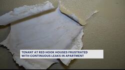 NYCHA tenant frustrated over ongoing leak in her Red Hook apartment News Clip