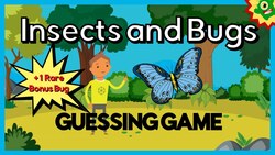 Insects and Bugs Guessing Game Instructional Video