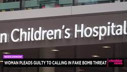 Woman Pleads Guilty to Calling in Fake Bomb Threat News Clip