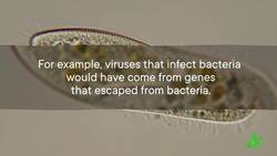 What If All Viruses Vanished? Instructional Video