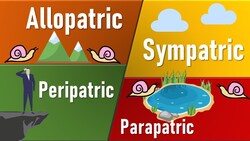 Speciation: Allopatric, Sympatric, Parapatric, Petripatric Instructional Video