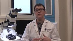 CLEAN : People of Brexit: The Texan neuroscientist living in Edinburgh News Clip