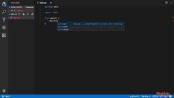 Learn Go in 3 Hours - Validating Your Environment and Go Playground Instructional Video
