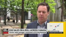 Egg sales soar News Clip
