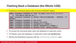 Oracle Database Administration from Zero to Hero - Flashback Database Instructional Video