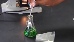 Lab Safety: Prepare and Observe a Microscope Slide Instructional Video