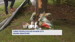 14-year-old girl, recent high school grad among victims of deadly Clarkstown crash News Clip