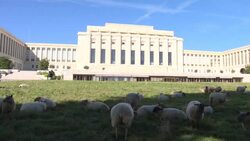 CLEAN : UN agencies and ICRC express concern over Turkish offensive in Syria News Clip