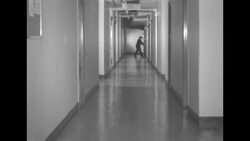 Delivering newsreels News Clip