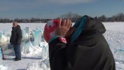 “Your animal brain is saying get out, get out." News Clip