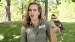 What Exactly Is a Kookaburra? You Have to Listen to Its Laugh Instructional Video