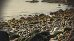 The New England Colonies 2 Instructional Video