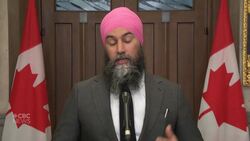 New Democrats 'disappointed' no deal was reached with PSAC News Clip