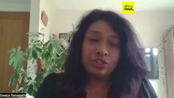 World Bee Day: bees under threat, but solutions exist, report finds News Clip