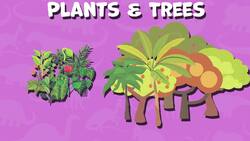 I WONDER - What Did The Brontosaurus Eat? Instructional Video