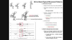 Biomechanics and Events of the Sit-to-Stand Instructional Video