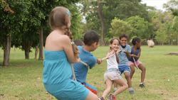 Motion Instructional Video