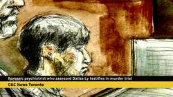 Psychiatrist testifies at Dallas Ly murder trial News Clip