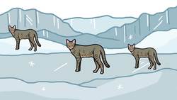 How Cats Became our Feline Overlords (ft. It's Okay To Be Smart) Instructional Video