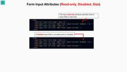 The Front-End Web Developer Bootcamp - HTML, CSS, JS, and React - Input Attributes (Size, Read-Only, Disabled) Instructional Video