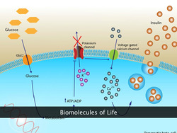Being Alive - What Does it Mean? Instructional Video