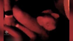 GRAPHIC WARNING: Terrifying moments of clubgoers hiding from Orlando shooter News Clip