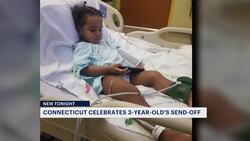 3-year-old boy battling leukemia sent off to magical trip, thanks to Make-A-Wish News Clip