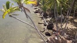 CLEAN : Fijian villages brace for relocation as sea level rises News Clip