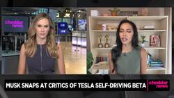 Musk Claps Back About Tesla Autonomous Driving System News Clip