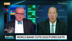 World Bank's Malpass on Global Economic Outlook for 2023 News Clip
