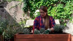 Woman planting on her garden deck. Stock Footage