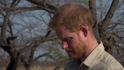 Prince Harry with Halo Trust News Clip