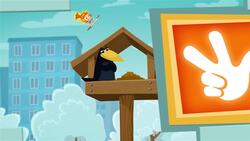 The Bird Feeder Instructional Video