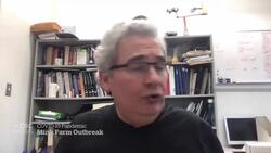 COVID-19 outbreak on B.C. mink farm sparks concern News Clip