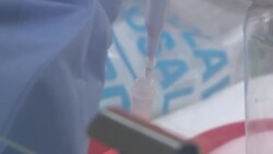 UK: Scientists at Liverpool School of Tropical Medicine testing samples of Covid-19 News Clip