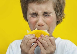 Taste buds Instructional Video