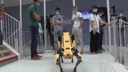 CLEAN : Scar the robot-dog to replace man in dangerous places News Clip