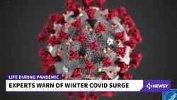 Experts Say A Winter COVID Surge Is In The Cards News Clip