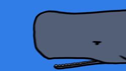 Why Perfume Makers Love Constipated Whales Instructional Video