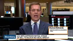 General Election Is Only Solution for Brexit, British-American Business Council CEO Says News Clip